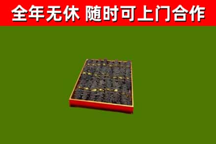 晋城回收海参